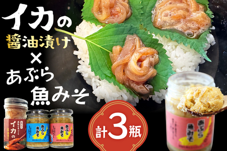 ご飯のお供 あぶらみそ イカ 醤油漬け あぶらみそ 地魚・真鯛 イカの醤油漬け 3種セット [康貴丸水産 長崎県 平戸市 hr42bgy400207]