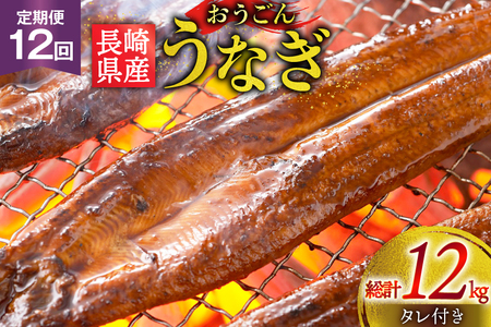 Ȃ Y  茧Y 񂤂Ȃ Zbg 1kg 6`8 12  v 12kg [iY 茧 ˎs hr42bgy400026]
