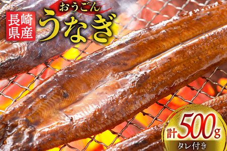 Ȃ Y  茧Y 񂤂Ȃ 500g 3`4 [iY 茧 ˎs hr42bgy400031]