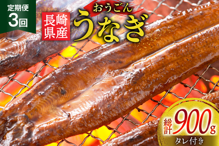 うなぎ 国産 蒲焼 長崎県産 おうごんうなぎ 約300g 2尾〜3尾 3回 定期便 総計 約900g [松永水産 長崎県 平戸市 hr42bgy400032]