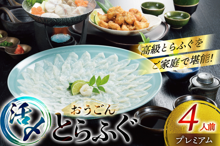 ふぐ 刺身 ふぐ鍋セット 活〆 おうごんとらふぐ プレミアム セット 4人前 [松永水産 長崎県 平戸市 hr42bgy400145]