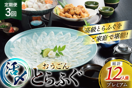 ふぐ 刺身 ふぐ鍋セット 活〆 おうごんとらふぐ プレミアム セット 4人前 3回 定期便 [松永水産 長崎県 平戸市 hr42bgy400150]