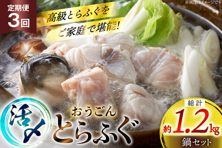 ふぐ 鍋 セット 活〆 おうごんとらふぐ 鍋セット 約400g 3回 定期便 総計 約1.2kg [松永水産 長崎県 平戸市 hr42bgy400158]
