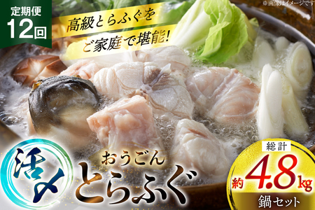 ӂ  Zbg Y Ƃӂ Zbg 400g 12  v 4.8kg [iY 茧 ˎs hr42bgy400160]