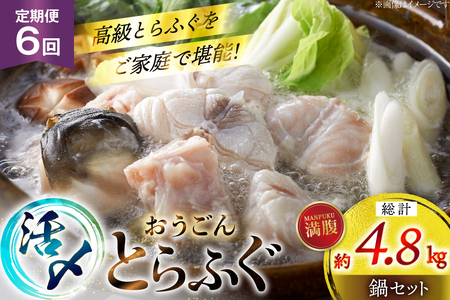 ӂ  Zbg Y Ƃӂ  Zbg 800g 6  v 4.8kg [iY 茧 ˎs hr42bgy400188]