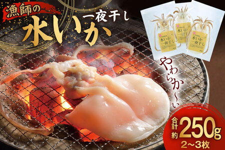  銱  t̐G銱 2`3 250g [싙 茧 ˎs hr42bgy400067]