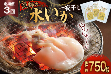 銱  t̐G銱 2`3 250g 3  v750g [싙 茧 ˎs hr42bgy400077]