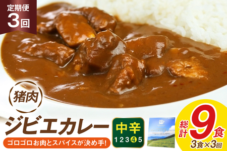 カレー スパイス 平戸 イノシシ カレー 3食 セット 3回 定期便 総計 9食 [平戸ファクトリー 長崎県 平戸市 hr42bgy400169]