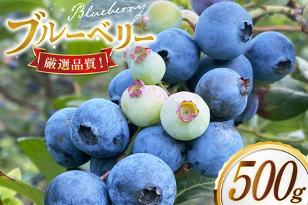 ブルーベリー 冷凍 250g 2パック 計 500g [いきつきブルーベリー園 moon berry's kitchen 長崎県 平戸市 hr42bhb500000]