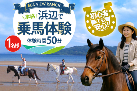 ̌ n ˂̕lӂŖ{iň 50 [()V[r[` 茧 ˎs hr42bgy390076]