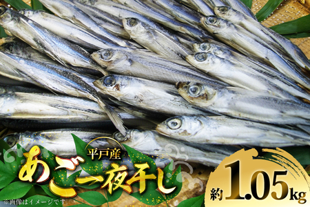 干物 あご 一夜干し 約 1050g 10匹 前後 [森崎水産 長崎県 平戸市 hr42bgy410050]