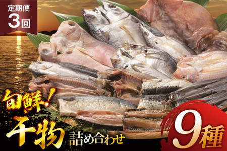 おつまみ イカ 旬魚 平戸 干物 9種 詰め合せ 定期便 3回 [森崎水産 長崎県 平戸市 hr42bgy410097]