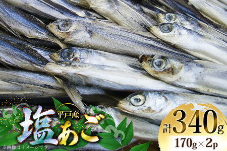 魚 飛魚 塩あご 170g 2パック [森崎水産 長崎県 平戸市 hr42bgy410102]