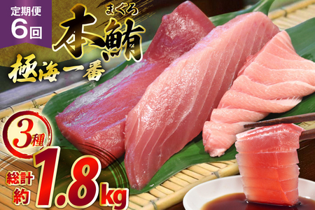 }O ؂g ɊC 3 Zbg 300g 6  v1.8kg lߍ킹 Hה [͘FGrX 茧 ˎs hr42bgy390025]