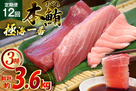 }O ؂g ɊC 3 Zbg 300g 12  v3.6kg lߍ킹 Hה [͘FGrX 茧 ˎs hr42bgy390026]