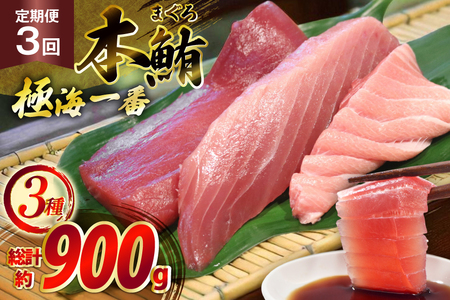 マグロ 切り身 極海一番 3種 セット 300g 3回 定期便 総計900g 詰め合わせ 食べ比べ [囲炉裏料理エビス亭 長崎県 平戸市 hr42bgy390027]