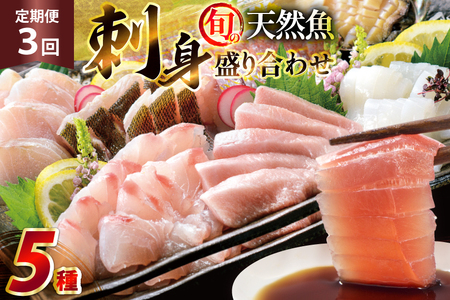 刺身 盛り合わせ 旬の天然魚の刺身盛り 5種 2〜3人前 3回 定期便 総計6〜9人前 セット 食べ比べ 詰め合わせ [囲炉裏料理エビス亭 長崎県 平戸市 hr42bgy390045]