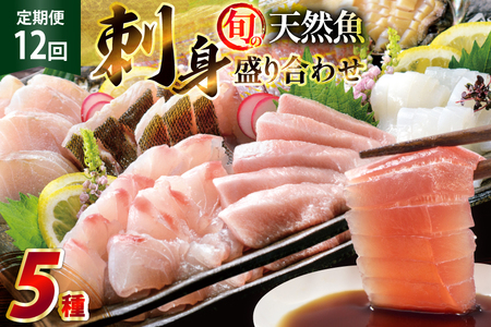 hg 荇킹 {̓VR̎hg 5 2`3lO 12  v24`36lO Hה Zbg [͘FGrX 茧 ˎs hr42bgy390053]