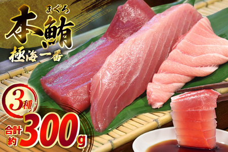 マグロ 切り身 極海一番 3種 セット 計300g 食べ比べ 詰め合わせ [囲炉裏料理エビス亭 長崎県 平戸市 hr42bgy390056]