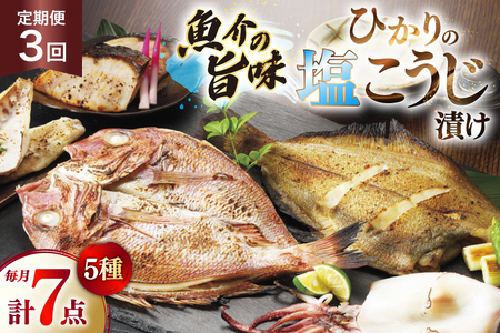 漬け魚 漬魚 塩麹 塩こうじ 魚介 詰め合わせ 3回 定期便 ひかりの塩麹 5種 セット [ひかり 長崎県 平戸市 hr42bgy420401]