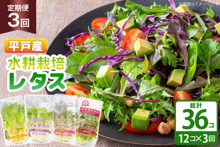 レタス 水耕栽培 4種 12袋 セット 3回 定期便 総計36袋 食べ比べ 詰め合わせ [モロフジファーム 長崎県 平戸市 hr42bgy420248]