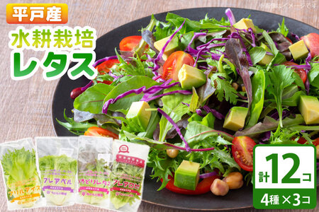 ^X k͔| 4 12 Zbg Hה lߍ킹 [tWt@[ 茧 ˎs hr42bgy420323]