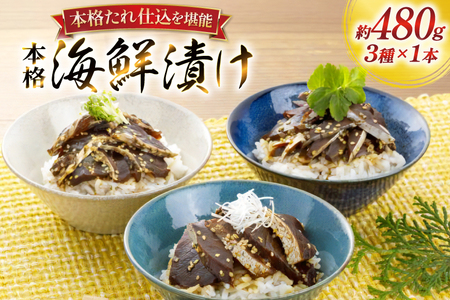 刺身 漬け丼 本格 海鮮漬け セット 160g 3本 計480g 詰め合わせ 食べ比べ [よかろ物産 長崎県 平戸市 hr42bgy420119]