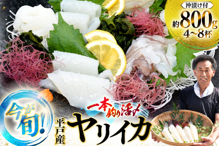 刺身 鮮魚 今が旬の ヤリイカ （ 沖漬け 付）4～8杯 先行予約 [漁師の店満月 長崎県 平戸市 hr42bgy420484]