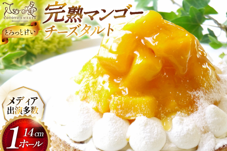 完熟 マンゴー チーズ タルト 1ホール 14cm [心優-Cotoyu Sweets- 長崎県 平戸市 hr42bgy420037]