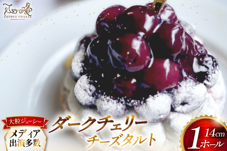 ケーキ タルト 贅沢 ダークチェリー タルト 1ホール 14cm [心優-Cotoyu Sweets- 長崎県 平戸市 hr42bgy420097]