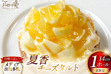 柑橘 スイーツ 夏香 チーズ タルト 1ホール 14cm [心優-Cotoyu Sweets- 長崎県 平戸市 hr42bjo490073]