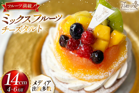 果物 ケーキ ミックス フルーツ チーズ タルト 1ホール 14cm [心優-Cotoyu Sweets- 長崎県 平戸市 hr42bgy420178]