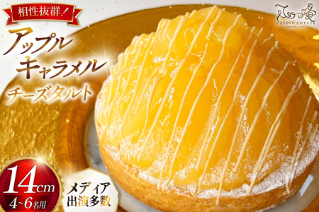 ケーキ タルト アップルキャラメルチーズタルト 1ホール 14cm [心優-Cotoyu Sweets- 長崎県 平戸市 hr42bgy420234]