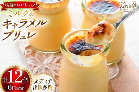 キャラメル ブリュレ プリン プレーン6個と季節の味6種各1個 計12個 [心優-Cotoyu Sweets- 長崎県 平戸市 hr42bgy420244]