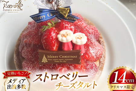 【期間限定】 いちご タルト ストロベリー チーズ タルト 1ホール 14cm [心優-Cotoyu Sweets- 長崎県 平戸市 hr42bgy420406]