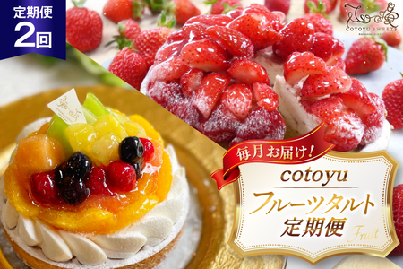 フルーツ タルト 1ホール 14cm 2回 定期便 総計2ホール [心優-Cotoyu Sweets- 長崎県 平戸市 hr42bgy420427]