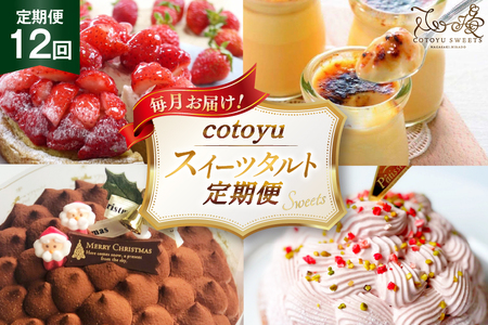 タルト ケーキ スイーツ 食べ比べ 12回 定期便 総計 タルト 11ホール キャラメルブリュレ 6個 [心優-Cotoyu Sweets- 長崎県 平戸市 hr42bgy420467]