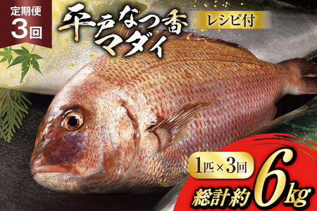 タイ 刺身 平戸なつ香 鯛 丸々 1匹 約2kg 3回 定期便 総計 約6kg [(株)坂野水産 長崎県 平戸市 hr42bgy420456]