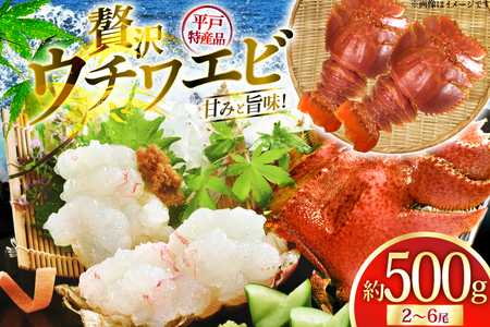 エビ 海鮮 刺身 平戸 ウチワエビ 2〜6尾 500g [平戸さくら水産 長崎県 平戸市 hr42bgy420360]