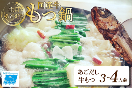 もつ鍋 セット 生月 あごだし 国産牛 もつ 鍋 セット 3〜4人前 [Vive la Vie!(ビブラビ) 長崎県 平戸市 hr42bgy420246]