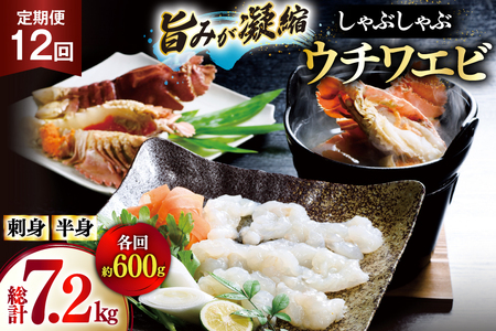 킦 Gr CV hg Ԃ CN 12  E`Grhg 200gEE`Grg 400g Zbg v7.2kg [Ђ΂ 茧 ˎs hr42bgy420029]
