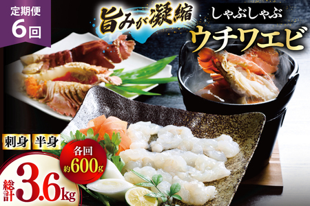 킦 Gr CV hg Ԃ CN 6  E`Grhg 200gEE`Grg 400g Zbg v3.6kg [Ђ΂ 茧 ˎs hr42bgy420030]