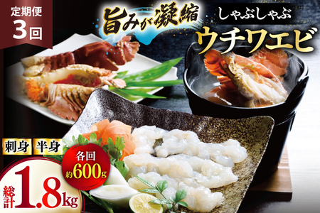 킦 Gr CV hg Ԃ CN 3  E`Grhg 200gEE`Grg 400g Zbg v1.8kg [Ђ΂ 茧 ˎs hr42bgy420034]