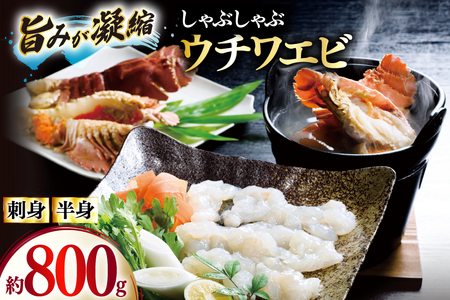 킦 Gr CV hg Ԃ CN E`Grhg 400gEE`Grg 400g Zbg v800g [Ђ΂ 茧 ˎs hr42bgy420044]