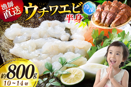 킦 Gr CV CN Ⓚ  E`Grg 800g 10`14 [Ђ΂ 茧 ˎs hr42bgy420048]