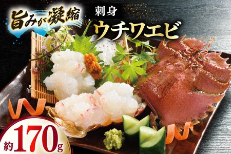 うちわえび エビ 海老 国産 刺し身 冷凍 ウチワエビ 刺身 約170g (ポン酢付) [ひばり 長崎県 平戸市 hr42bgy420060]