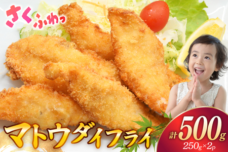魚フライ 魚 フライ 鯛 揚げ物 冷凍 マトウダイのフライ 約500g (250g×2パック) [ひばり 長崎県 平戸市 hr42bgy420223]