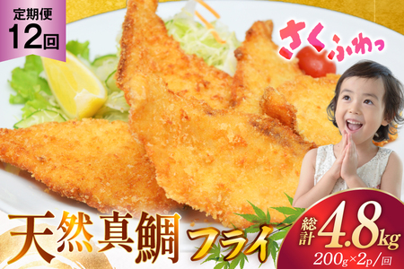 tC  tC  g Ⓚ 12  VR^̃tC 400g (200g×2pbN) v4.8kg [Ђ΂ 茧 ˎs hr42bgy420338]