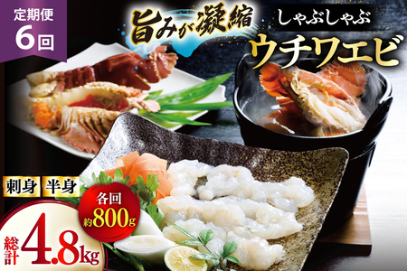 킦 Gr CV hg Ԃ CN 6  E`Grhg 400gEE`Grg 400g Zbg v4.8kg [Ђ΂ 茧 ˎs hr42bgy420357]