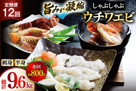 킦 Gr CV hg Ԃ CN 12  E`Grhg 400gEE`Grg 400g Zbg v9.6kg [Ђ΂ 茧 ˎs hr42bgy420363]